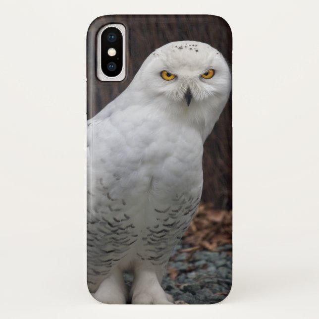Matching Slippers iPhone X Case (Back)