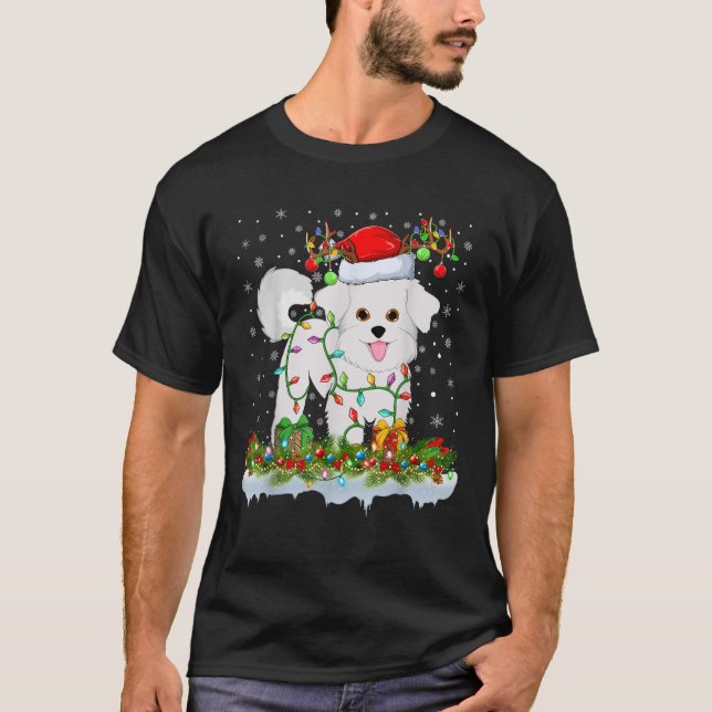 Matching Xmas Lighting Santa Bichon Frise Dog Chri T-Shirt (Front)