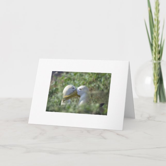 Mated for Life Card (Front)