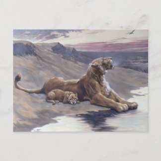 Maternal Care Postcard