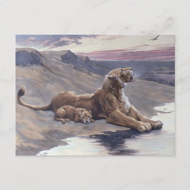 Maternal Care Postcard (Front)