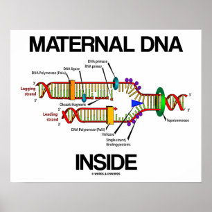 Maternal DNA Inside Genes Humour DNA Replication Poster