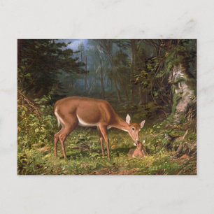 "Maternal Love" Mother and Baby Deer Postcard