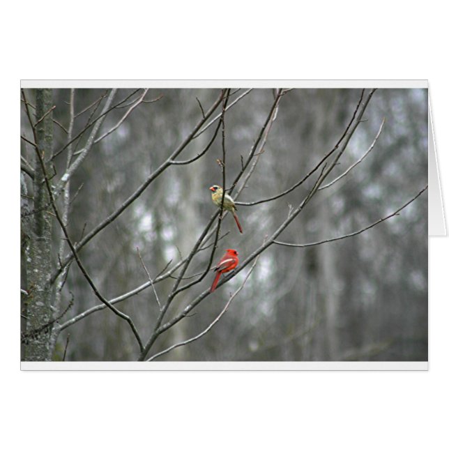 Mates for life (Front Horizontal)