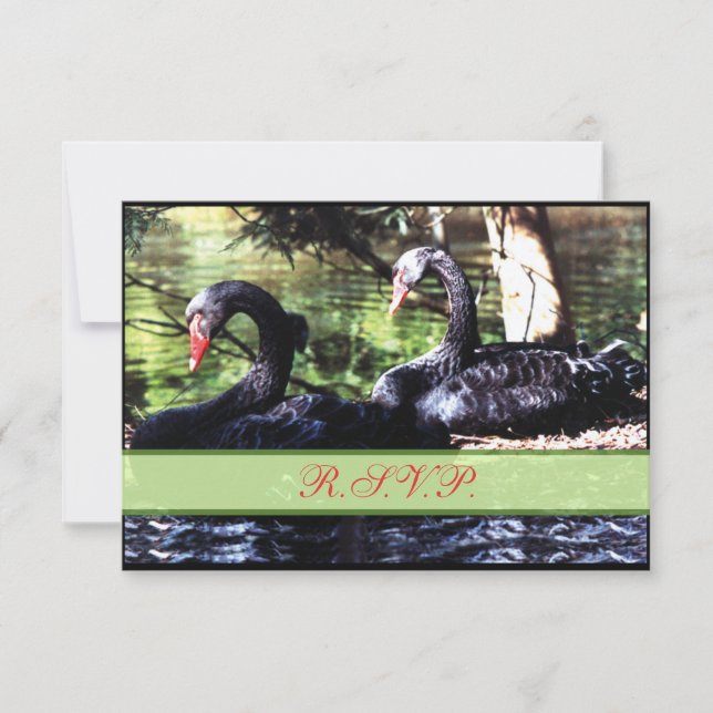 Mates for Life Black Swans Reply Card (Front)
