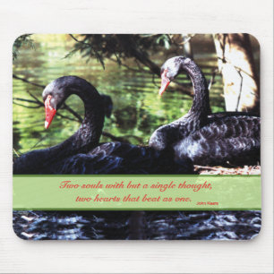 Mates for Life Black Swans with Love Quote Mouse Mat