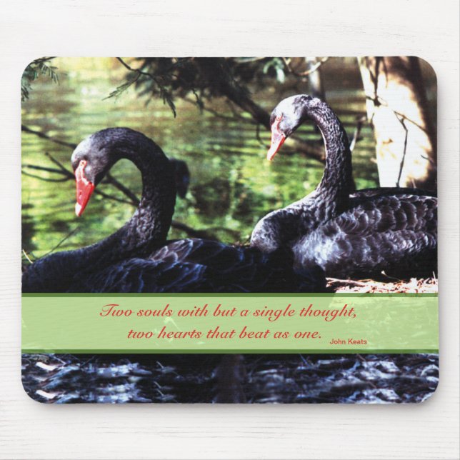 Mates for Life Black Swans with Love Quote Mouse Mat (Front)