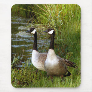 Mates for life mouse mat