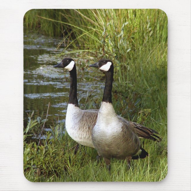 Mates for life mouse mat (Front)