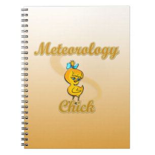 Math Chick Notebook