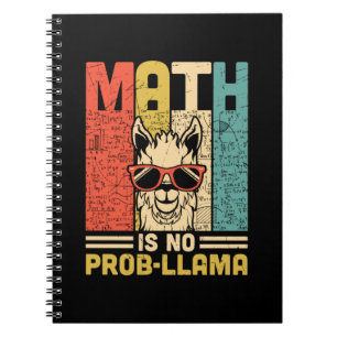 Math Teacher Math Is No Problem Notebook
