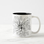 Math Tree Mug<br><div class="desc">Mug showing most of the branches of mathematics. The resolution of the image is extremely high, so don't worry, you'll be able to see all the details!</div>