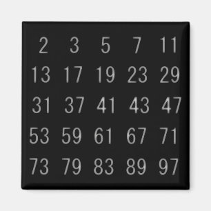 Mathematics Prime Number Magnet Math teacher Gift