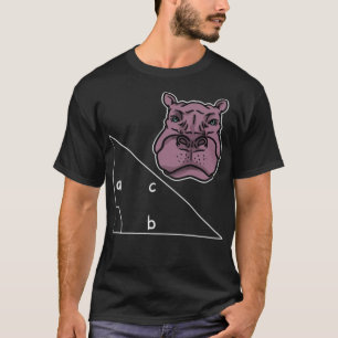 Maths Formulas Mathematics Algebra Gift cool rider T-Shirt