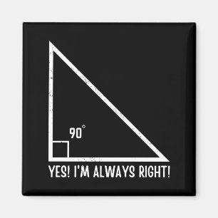 Maths / Mathematics Teacher Funny Magnet