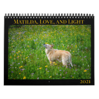 Matilda, Love, and Light 2021