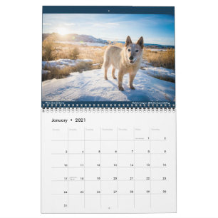 Matilda, Love, and Light 2021 Calendar
