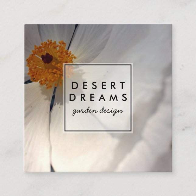 Matilija Poppy Desert Wildflower Photo Travel Square Business Card (Front)