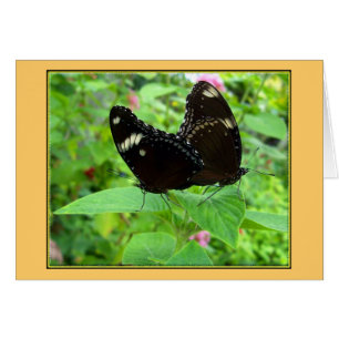 Mating Dance