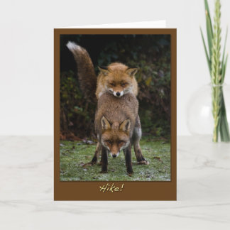 Mating Foxes Card