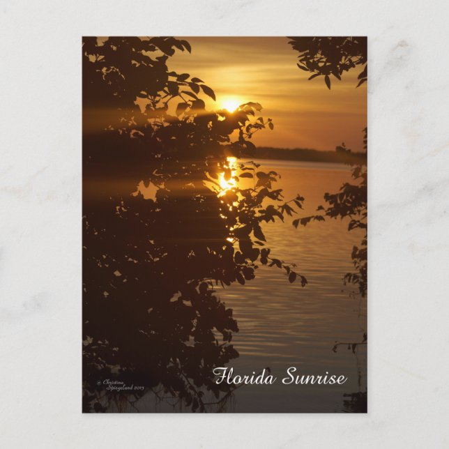 Matlacha Florida Sunrise Postcard (Front)