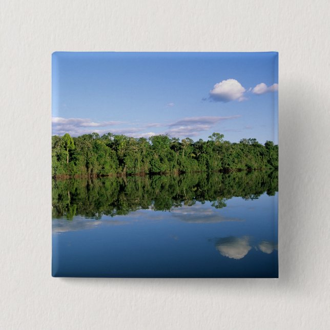 Mato Grosso State, Amazon, Brazil. Forested 15 Cm Square Badge (Front)