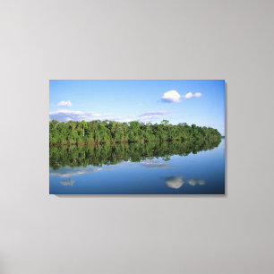 Mato Grosso State, Amazon, Brazil. Forested Canvas Print