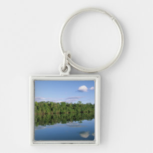 Mato Grosso State, Amazon, Brazil. Forested Key Ring