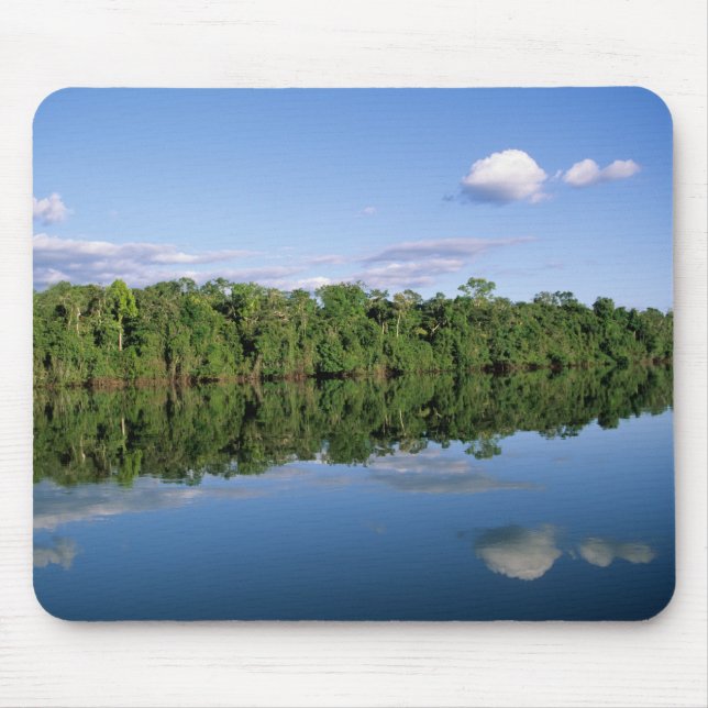 Mato Grosso State, Amazon, Brazil. Forested Mouse Mat (Front)