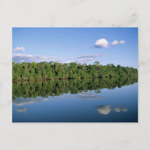 Mato Grosso State, Amazon, Brazil. Forested Postcard