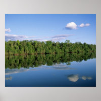Mato Grosso State, Amazon, Brazil. Forested