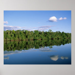 Mato Grosso State, Amazon, Brazil. Forested Poster