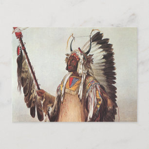 Mato-Tope, A Mandan Chief Portrait by Karl Bodmer Postcard