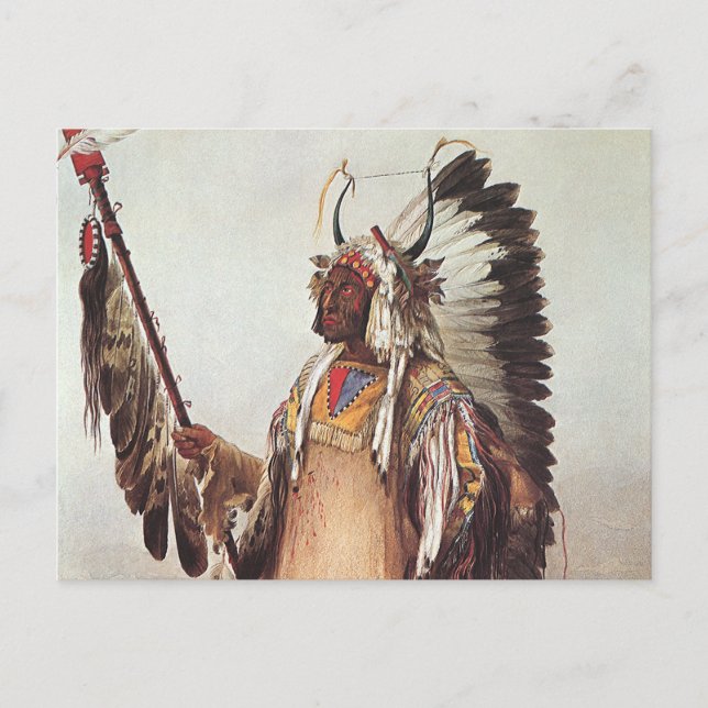 Mato-Tope, A Mandan Chief Portrait by Karl Bodmer Postcard (Front)