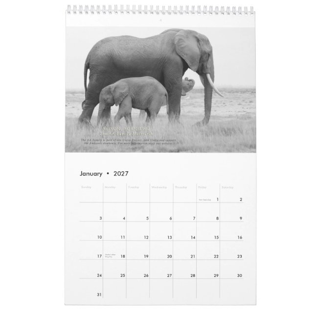 Matriarchs Calendar 2015 (Jan 2027)