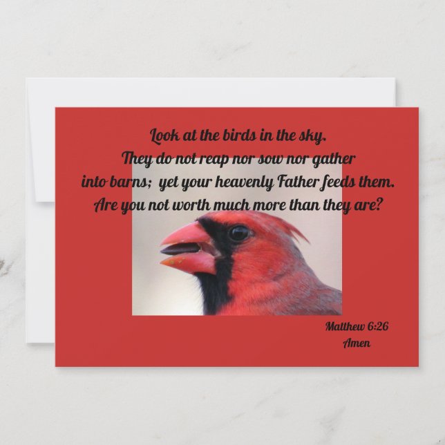 Matt 6: 26 cardinal greeting card (Front)