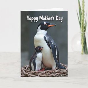 Matte Aquatic Birds Mothers Day Card