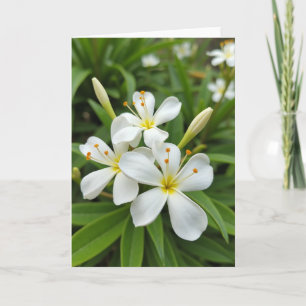 Matte White Floral Photo Card