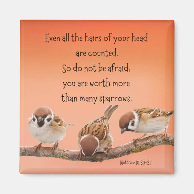 Matthew 10:30-31 2" Magnet (Front)