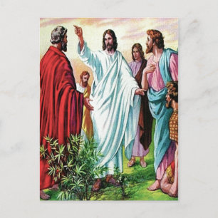 Matthew 10 Jesus Sends Out the Twelve postcard