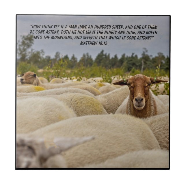 Matthew 18:12    tile (Front)