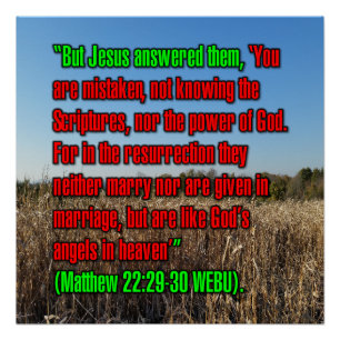 Matthew 22:29-30 WEBU Poster