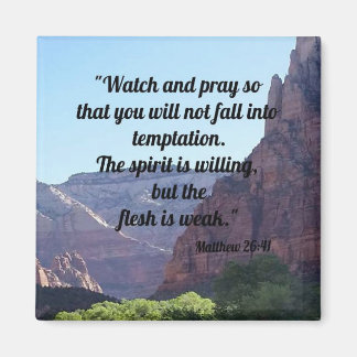 Matthew 26:41 magnet