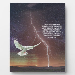 MATTHEW 3:16   PLAQUE