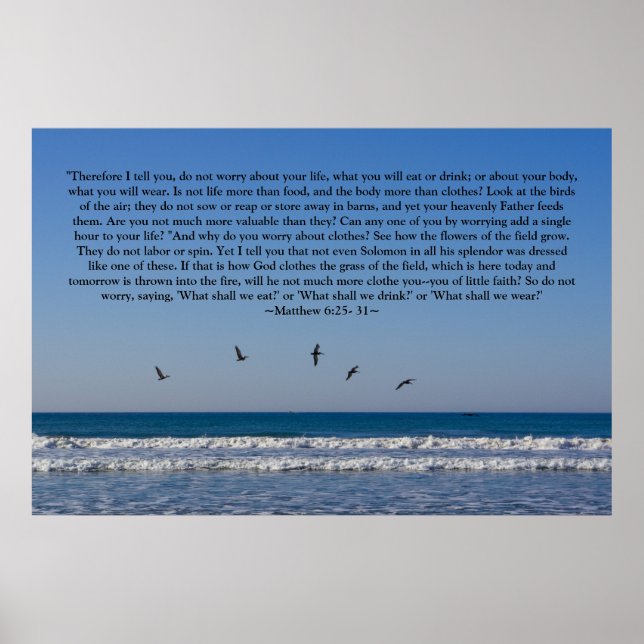 Matthew 6:25- 31 Poster (Front)