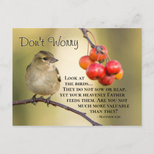 Matthew 6:26 Bible Verse, Don't Worry Postcard