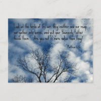 Matthew 6:26 Look at the birds of the air...