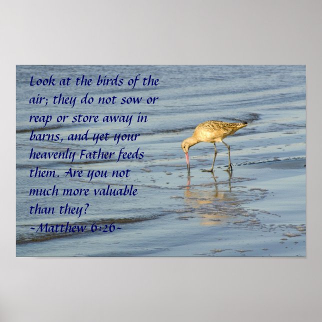 Matthew 6:26 Poster (Front)
