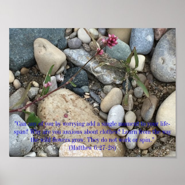 Matthew 6:27-28 Poster (Front)
