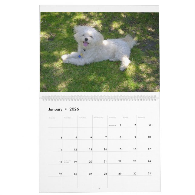 Mattie and Friends Calendar (Jan 2026)
